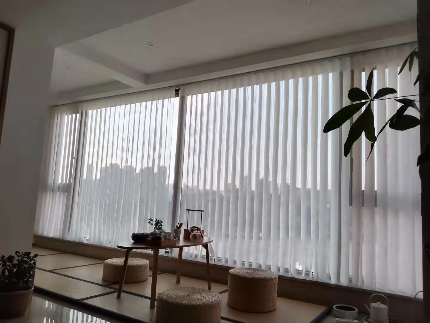 Sheer vertical blinds sheer vertical blinds